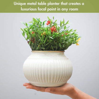 White metal indoor planter Behoma