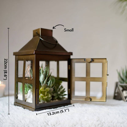 Duke Lantern, Chocolate - 8.6''X 5.1'' - Behoma