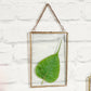Floating frame, glass photo frame, gifts for her, anniversary gifts, gift ideas