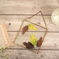 Floating frame, glass photo frame, gifts for her, anniversary gifts, gift ideas, birthday gift