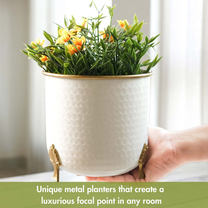 Gold Rim Leaf leg Metal Planter - Behoma