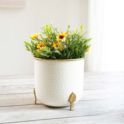 Gold Rim Leaf leg Metal Planter - Behoma