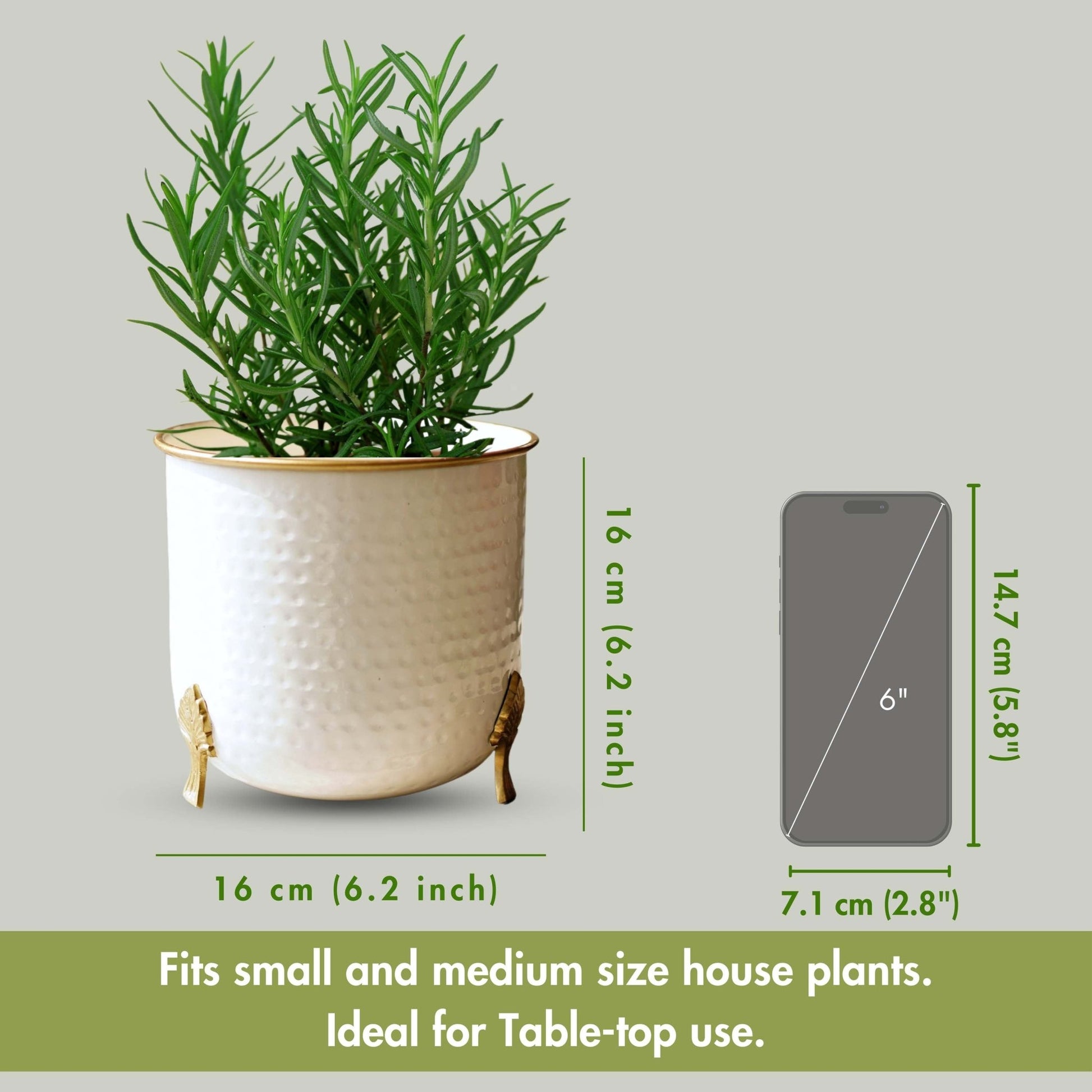 Gold Rim Leaf leg Metal Planter - Behoma