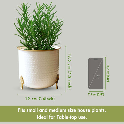 Gold Rim Leaf leg Metal Planter, Large - Behoma