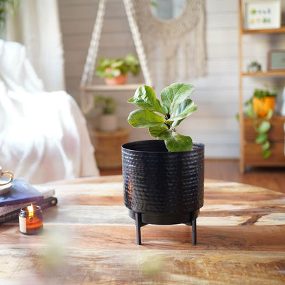 Hammered Indoor Planter - Matt black, 8.3'' - Behoma
