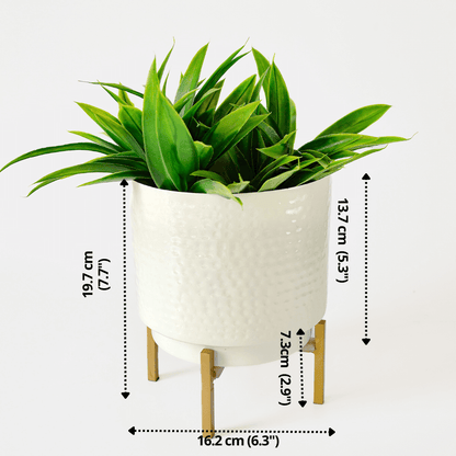 Hammered Indoor Planter, Small