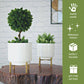 Hammered Indoor Planter, Set