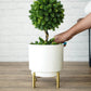 Hammered Indoor Planter, Large 