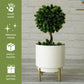 Hammered Indoor Planter, Large 