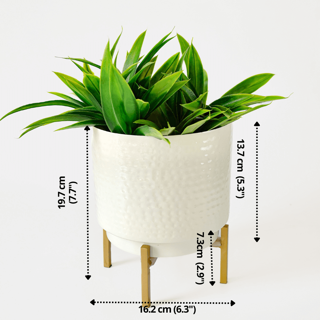 Hammered Indoor Planter, Small