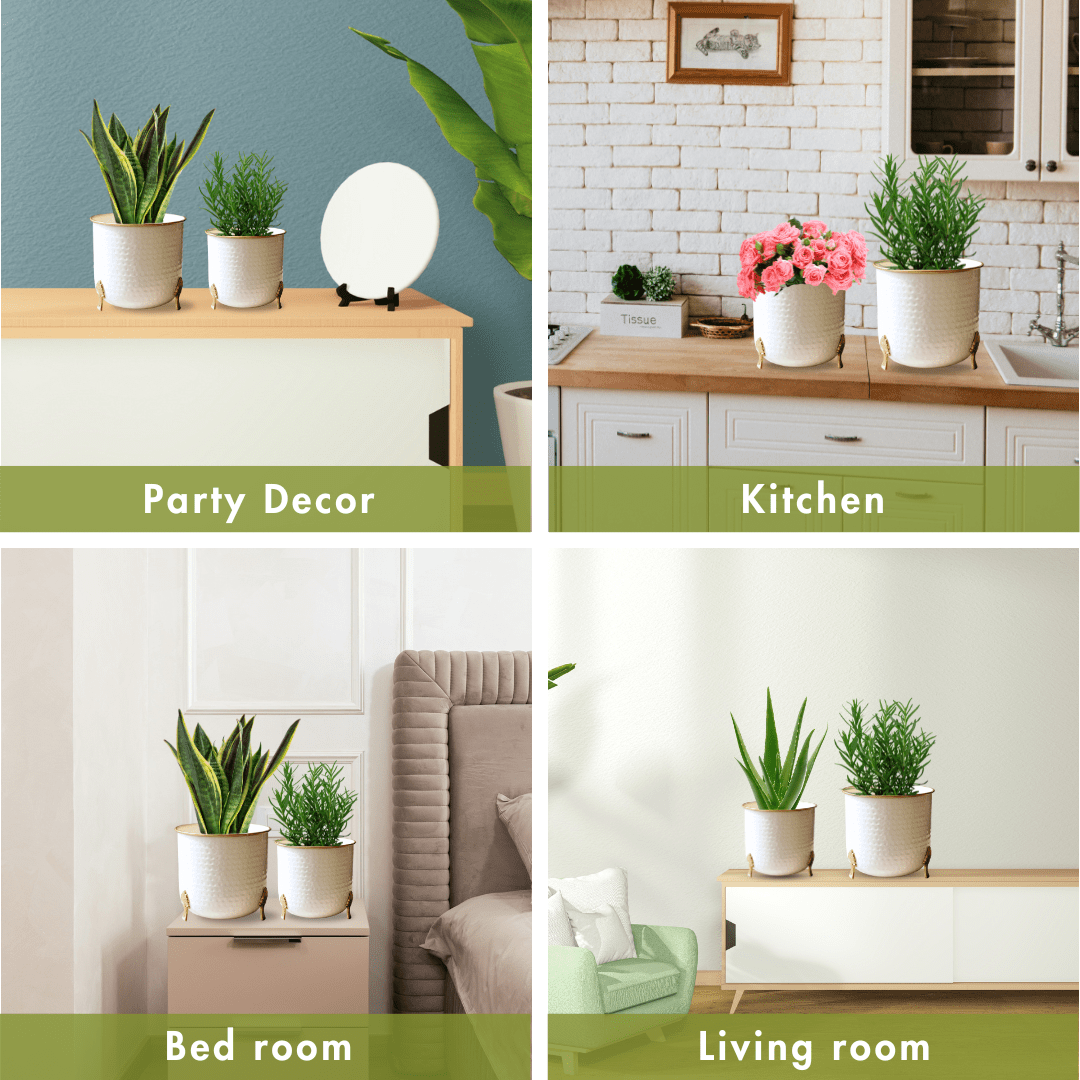 Metal Hammered Gold Rim Leaf leg Planter, White, Set of 2 - 6''X 7'' - Behoma