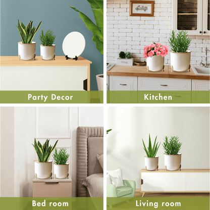 Metal Hammered Gold Rim Leaf leg Planter, White, Set of 2 - 6''X 7'' - Behoma