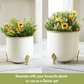 Metal Hammered Gold Rim Leaf leg Planter, White, Set of 2 - 6''X 7'' - Behoma