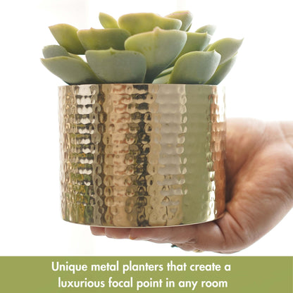 Mini Table - top Hammered Planter, Gold, Set - 4.1'', 3.5'' & 3.1'' - Behoma