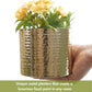 Mini Table - top Hammered Planter, Gold, Set - 4.1'', 3.5'' & 3.1'' - Behoma