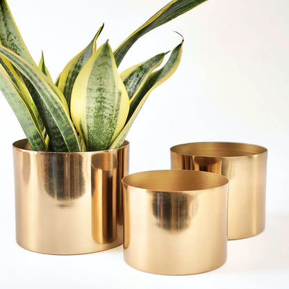 Mini Table - top Metal Plant Stand, Gold, Set - 4.1'', 3.5'' & 3.1'' - Behoma