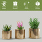 Mini Table - top Metal Plant Stand, Gold, Set - 4.1'' & 3.5'' - Behoma