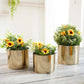Mini Table - top Metal Plant Stand, Gold, Set - 4.1'' & 3.5'' - Behoma