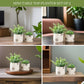 Off - White Mini Metal Planter - Behoma