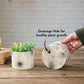 Off - White Mini Metal Planter - Behoma