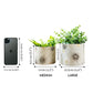Off - White Mini Metal Planter - Behoma