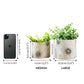 Off - White Mini Metal Planter - Behoma