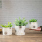 Off - White Mini Metal Planter - Behoma