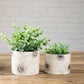 Off - White Mini Metal Planter - Behoma