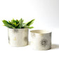 Off - White Mini Metal Planter - Behoma