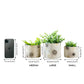 Off - White Mini Metal Planter - Behoma