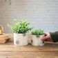 Off - White Mini Metal Planter - Behoma