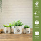 Off - White Mini Metal Planter - Behoma