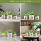 Off - White Mini Metal Planter - Behoma