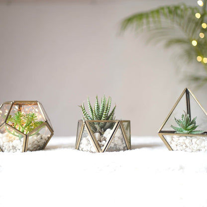 Terrarium Nickel Black Set of 3 - Behoma