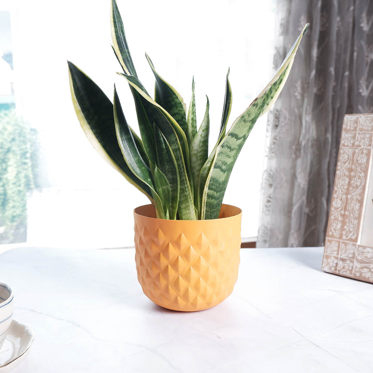 Metal Indoor Planter