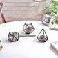 Terrarium Nickel Black Set of 3 - Behoma